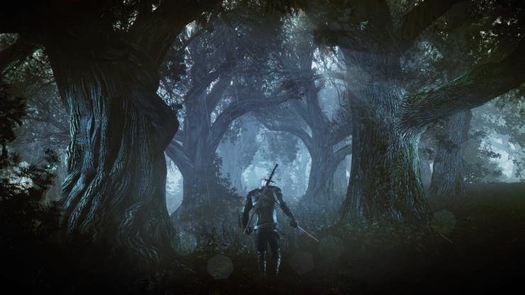 The Witcher 3 - Geralt allein im dunklen Wald
